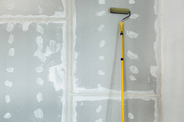 Professional Dry wall and painting in Sherman, TX